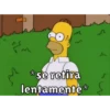 Memes Simpson 10