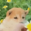 Funny Memes 😂 9