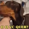 MEMES DO BTS 💜 15