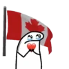 ⚽️ Flork MUNDIAL 2022 🏆 14