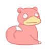Pokémon✨ 16