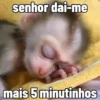 🐒 aquela do macaquinho 27