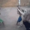 MEMES VARIADOS 10