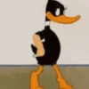 Sapecagens reações 9