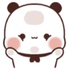 Panda putih 15
