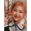 ROSÉANNE 29