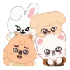 SKZOO INA ver. 16