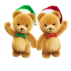 Natal 24