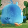 💝🐥Angrybirds cutes🐥💝 6