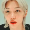 FELIX 🦋 STRAY KIDS  17