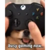 Daily Vibes 28