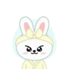 SKZOO INA ver. 24