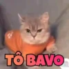😻 Esse gatinho vc ainda ñ tem 8