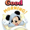Good morning Pack 10