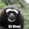 Funny Reactions 10