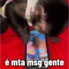🐒 aquela do macaquinho 6