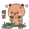 Panda Gemoy Lucu 16 26