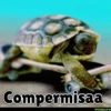 Animales Divertidos🐒🐤🦁 Mov🐽 14