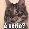 MEMES/REAÇÕES 😂👍 2 7