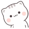 Cutie Cat Chan 11