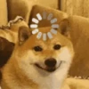 Animal Shiba Cute 8