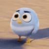💝🐥Angrybirds cutes🐥💝 8