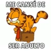 Garfield🐱🧡 8