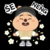 SKZOO INA ver. 17