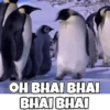 Funny Animals reactions🤣 21