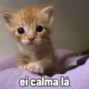 😻 Esse gatinho vc ainda ñ tem 28