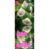 Mãe 22