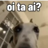MEMES/REAÇÕES 😂👍 2 14