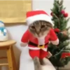 Animated christmas 12