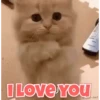 Funny Animals reactions🤣 29