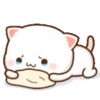 Cutie Cat Chan 12