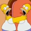 Homer Simpson animadas 5
