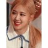 ROSÉANNE 30