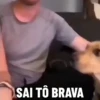 🐶 Catiorríneos Fofíneos 6