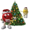 Natal 11