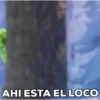 AHI ESTA EL LOCO