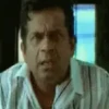 Telugu 8