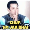 Salman Khan 17
