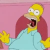 Homer Simpson animadas 10