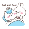Kelinci imut 25