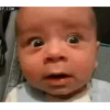 Baby Reaction 15