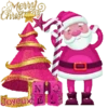 Natal 13