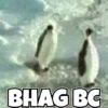 Funny Animals reactions🤣 23