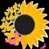 Dia lindo 11