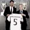 Bellingham 9