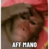 🐒 aquela do macaquinho 21